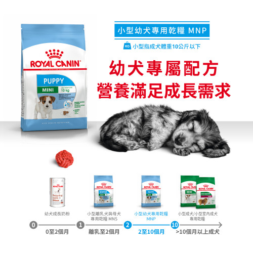 Royal Canin -  Health Nutrition 健康營養系列 Mini Puppy 8KG 小型幼犬營養配方8公斤 (3000080010) [訂貨需時2-3天](原裝行貨)